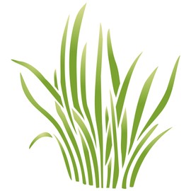 Grass Stencil - 25.5 x 29 cm (L) - Reusable Large Reed Stencil for Baby Kids Nursery