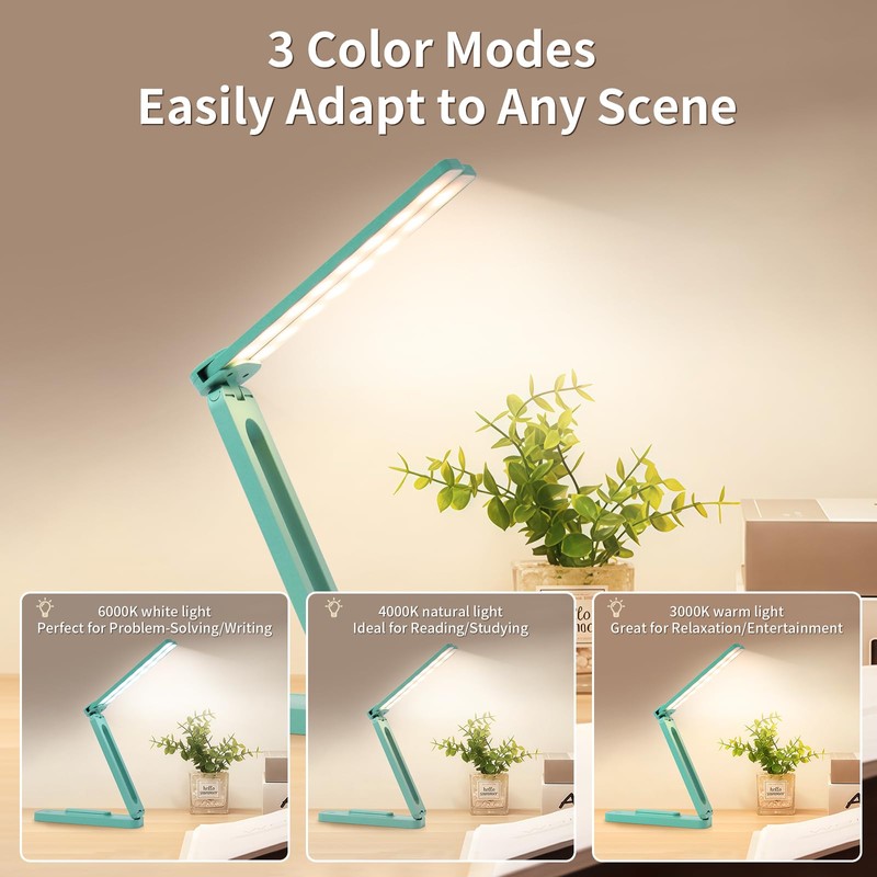 Bsdgeclogy Foldable and Adjustable LED Reading Lamp, Dual Head Portable