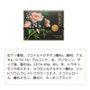 Dachun Soap Body Soap (Spring Forest M)