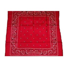 Wyoming Traders Wild Rag Red 100% Silk Bandana, Large