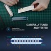 CONJURER Blues Harmonica for Adult 10 Hole Diatonic Harmonica in