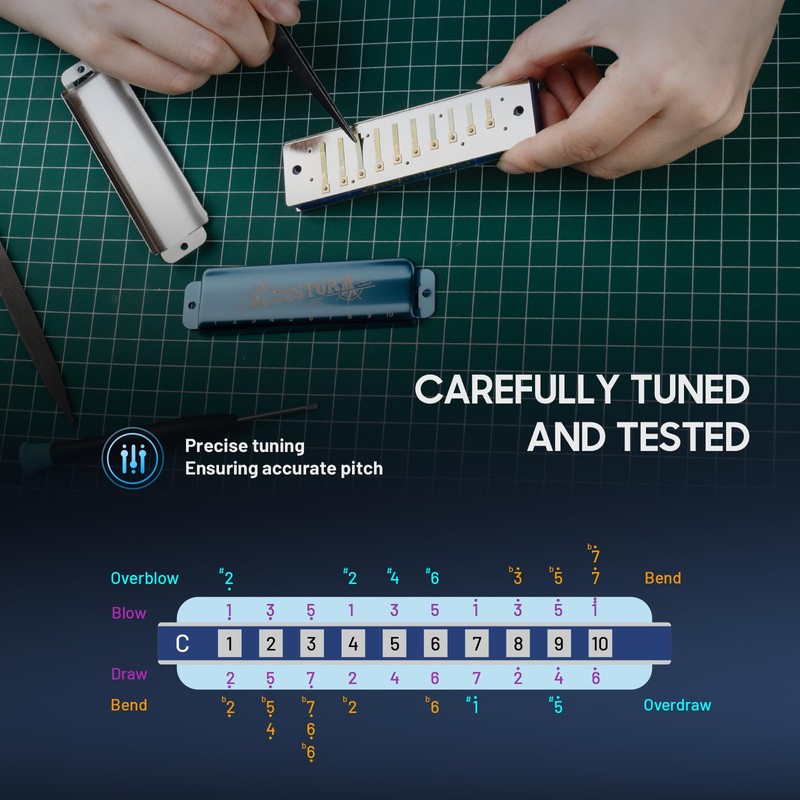 CONJURER Blues Harmonica for Adult 10 Hole Diatonic Harmonica in