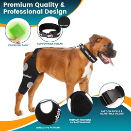 yolowbaas Dog Knee Brace for Torn ACL Hind Leg Support with Hot/Cold Compress, Adjustable Dog Hip Brace for ACL Tear Back Leg, CCL, Luxating Patella, Hip Dysplasia, Support for Knee Caps(Right Leg,XL)