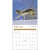 Wolves Mini Wall Calendar 2025, 7" x 7"