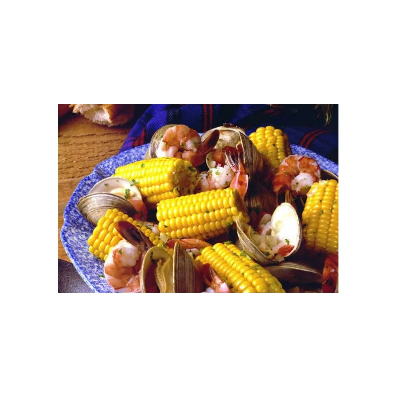 TomorrowSeeds Honey Select Triple Sweet Corn Seeds | AAS Winner