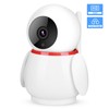 1080P HD WiFi IP Cloud Security Camera Wireless Penguin Shaped