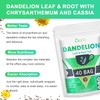 Organic Dandelion Root Herbal Tea, Premium Dandelion Root Leaf with