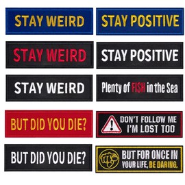 bvya 10 Pack Embroidered Patches Hook Backing Emblem Badge Applique Patch for Biker Motorcycle Backpack Caps Hats Uniform