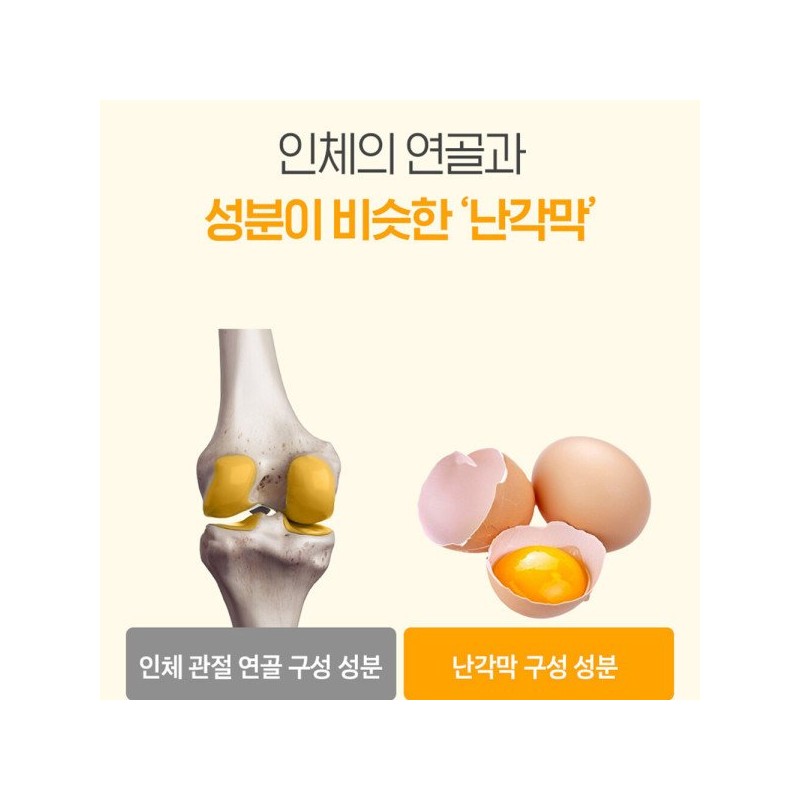 Cham Goods 난각막 가수분해물 비타민 효능 난간막 가수분해 저분자 콘드로이친