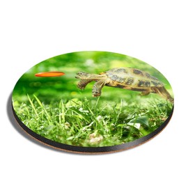1 x Round Coaster - Tortoise Turtle Jumping Frisbee Cork Backed MDF Glossy Tea Coffee Accessory #14390