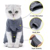 Cat Recovery Suit 4 Legged Prevents Hair Loss Highly Elastic