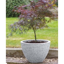 Stewart 37cm Low Honey Pot, 250234, Size (Dia x H): 37x26cm, Alpine Grey