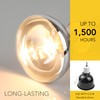 ReptiKing Reptile Heat Lamp Bulbs, 2-Pack 75W Daylight Basking Spot,