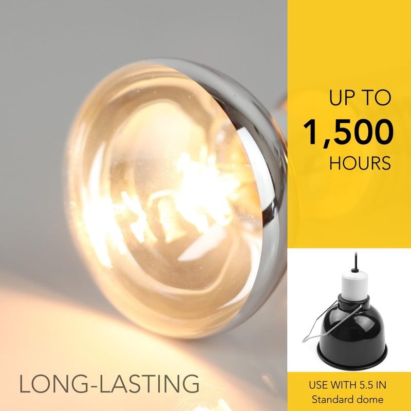 ReptiKing Reptile Heat Lamp Bulbs, 2-Pack 75W Daylight Basking Spot,