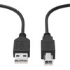 Jantoy Replacement 6ft USB 2.0 Cable PC Laptop Data Sync