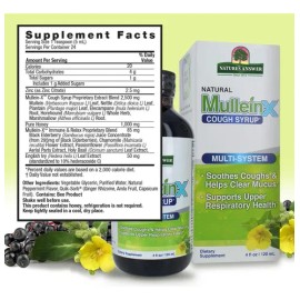 Natures Answer Jarabe Vías Respiratorias Mullen-X Sin Sabor 120ml
