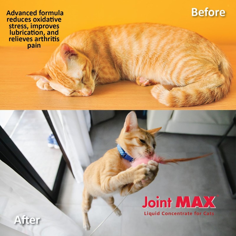 Joint Max Liquid for Cats – Joint & Mobility Support