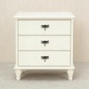 LB-LAIBA Dragonfly Drawer Knobs Modern Dresser Pulls for Closet Cabinet