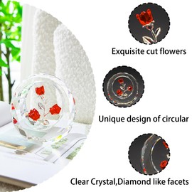 Crystal Tulips Rose Collectible Figurines,Red Glass Flowers in Crystal Dome,Tiny Shiny Rose Figurines, Crystal Glass Roses with Stems, Rose Deco for Home, Holiday Creative Gift (Red)