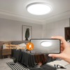 Oraymin LED Ceiling Light Flat Round Ceiling Light 24 W