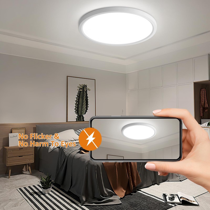 Oraymin LED Ceiling Light Flat Round Ceiling Light 24 W
