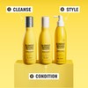 Drybar Blowout Defense Strengthen & Extend Shampoo - Hydrates, Detangles,