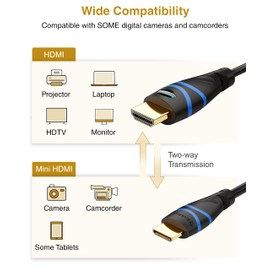 BlueRigger Mini HDMI to HDMI Cable (10FT, 4K 60Hz HDR, Bidirectional High Speed HDMI 2.0 Cord, Ethernet, Audio Return) Compatible with DSLR Camera, Camcorder, Graphics/Video Card, Raspberry Pi Zero W