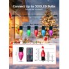 Minetom C9 LED Christmas Lights Outdoor, 150 LED RGB Smart