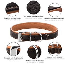 Schnüffelfreunde Fun Line Leather Dog Collar for Large, Medium and Small Dogs, Leather Collar for Dogs, Padded and Robust (L - 36-45 cm, Brown/Beige)