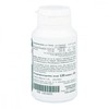 Chlorophyll Vegan for Fresh Breath Tablets Pack of 120