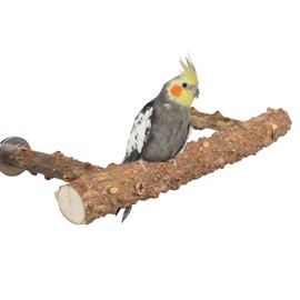 Natural Pepper Wood Bird Perches for Parrot - Wooden Bird Parrot Stand Branches Parakeet Cage Perch Accessories for Small Birds Budgies Cockatiels Conure Lovebirds