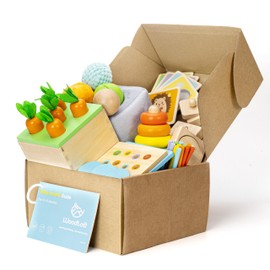 Woodtoe Montessori Toys for 1+ Year Old, Wooden Baby Learning Toys, Object Permanence Box, Color Sorting Sensory Toy, Toddler Fine Motor Skills Game, Educational Birthday Gifts for Boy Girl Growth