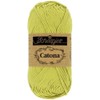 Scheepjes 1678-512 Catona Baumwolle Garn, 512 Lime, 1x50g