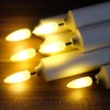NONNO & ZGF 6 Pack Windows Candles with 6 Golden