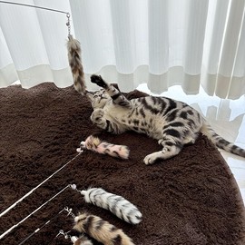 cotdoog Interactive Cat Toys - Light Luxury Cat Dancer Wand Toy with Realistic Fox Tail, Adjustable Cat Toy Stick & Feather Refills for Indoor Cats(Arctic White)