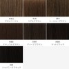 AQUADOL Wgt806-A-MBG Wig, Ponytail, Mixed Long, Curly, Magic Pony, Pony,