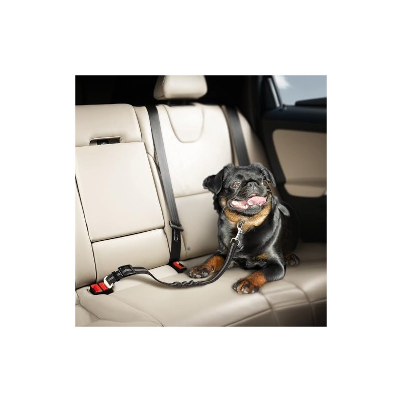 Removable Dog Seat Belt Harness for Car