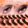 7 Pairs of 3D False Eyelashes, Cat Eye, Fluffy Volume,