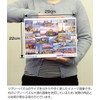 1000 Piece World Heritage Nikko Toshogu Yomeimon (49x72cm)