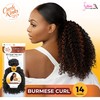 Sensationnel Curls kinksandco synthetic bundles - burmese curl quick weave