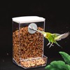 Automatic Bird Feeder,No Mess Bird Feeder,Bird Cage Feeder Bird Cage