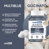 MULTIBLUE Glicinato de Magnesio | Adicionado con L -Teanina y