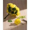 DuHouse 25Pcs Artificial Roses Flowers Fake Roses with Stems Real