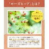 Tea no Daifukuen Rose Hip Tea Bag Rose Hip Herbal