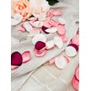 ZOOYOO 200Pcs Silk Rose Flower Petals for Valentaine's Day,Wedding Flower