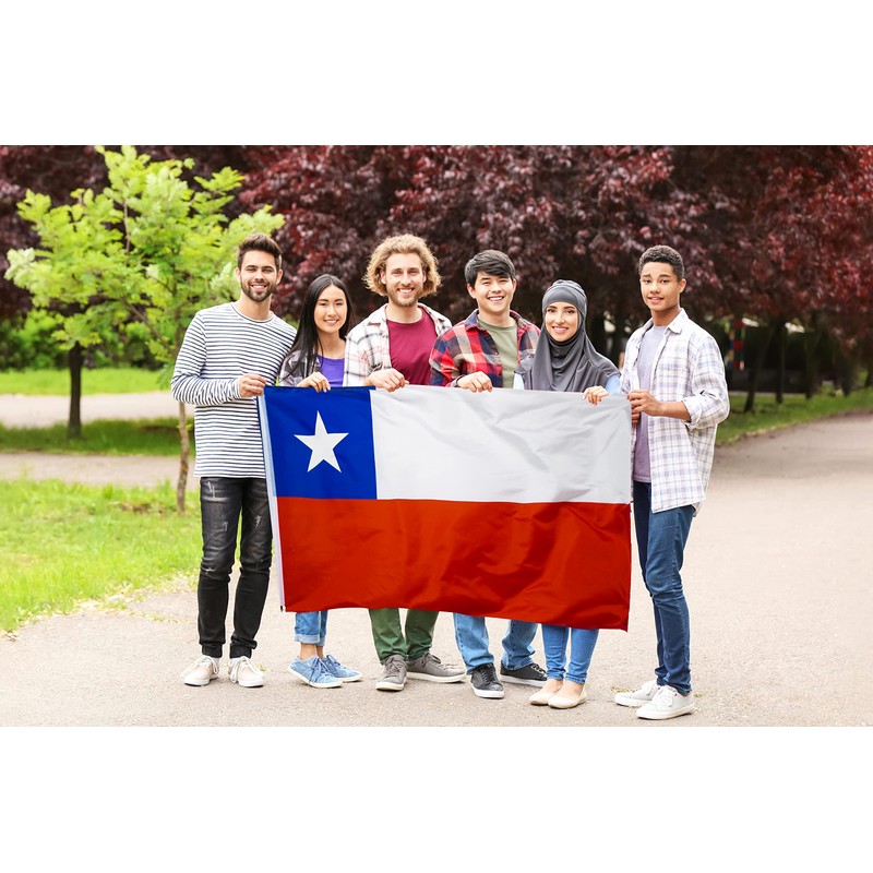 DANF Chile Flag 3x5 Ft Thick Polyester, Fade Resistant, Brass