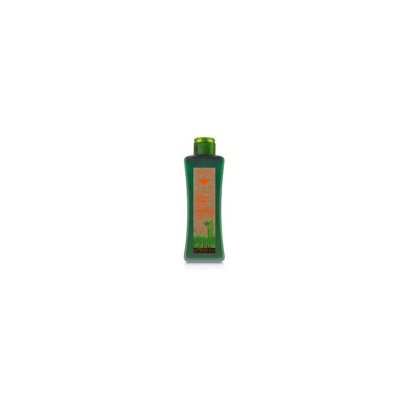 Salerm Biokera Shampoo + Mascarilla Kit Cabellos Tratados Biokera Salerm