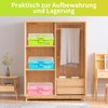 Ant Warrior Medizinbox, Medikamentenbox aufbewahrung, mit 2 compartments, Arzneimittel aufbewahrung