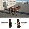 Huntboo Escape Proof Dog Harness, Escape Artist Harness, Fully Reflective