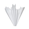 Papyrus 8 Sheet White Tissue Paper for Halloween, Thanksgiving, Christmas,